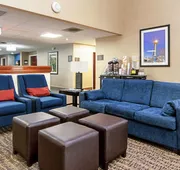 Comfort Suites Knoxville Airport hotel detail image 4