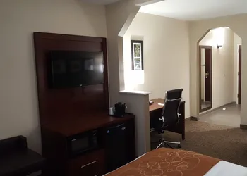 Comfort Suites Knoxville Airport hotel thumbnail 8