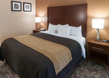 Comfort Inn North Conroe hotel thumbnail 7