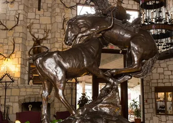 Y O Ranch Hotel hotel thumbnail 5