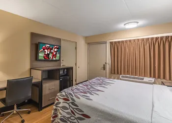 Red Roof Inn Kalamazoo West - Western Michigan U hotel thumbnail 6