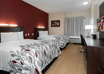 Red Roof Inn Raleigh Southwest - Cary hotel thumbnail 5