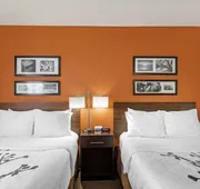 Sleep Inn DeWitt - Lansing North hotel detail image 3