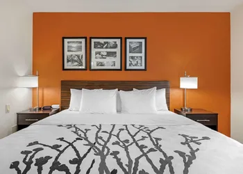 Sleep Inn DeWitt - Lansing North hotel thumbnail 8