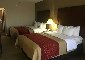 Comfort Inn Lexington I-75 hotel thumbnail 6