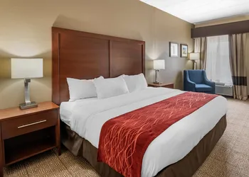 Comfort Inn Lexington I-75 hotel thumbnail 8