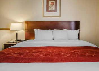 Quality Suites Jeffersonville - Louisville North hotel thumbnail 5
