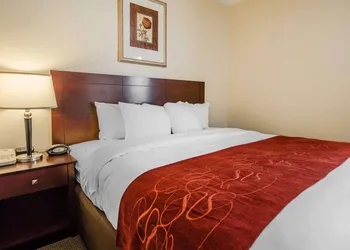 Quality Suites Jeffersonville - Louisville North hotel thumbnail 6