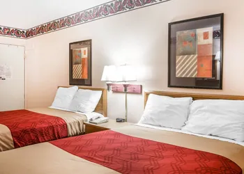 Econo Lodge McDonough South hotel thumbnail 6