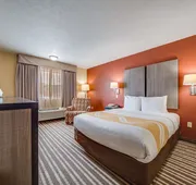 Quality Inn Hastings hotel detail image 4