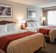 Comfort Inn Indianapolis South I-65 hotel detail image 7