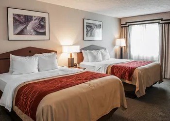 Comfort Inn Indianapolis South I-65 hotel thumbnail 7