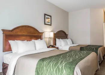 Comfort Inn & Suites South Burlington near University hotel thumbnail 6