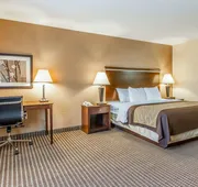 Quality Inn & Suites Mount Pleasant hotel detail image 7