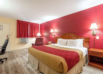 Econo Lodge Inn & Suites Santa Rosa hotel thumbnail 7