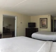 Holiday Inn Hotel & Suites Charleston West by IHG hotel detail image 4