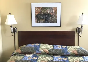 Baxter Park Inn hotel thumbnail 7