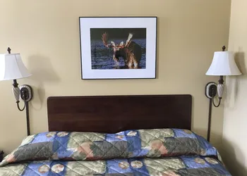 Baxter Park Inn hotel thumbnail 8
