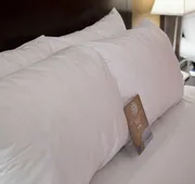Comfort Inn hotel detail image 5