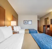 Comfort Inn hotel detail image 4