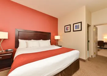 Comfort Inn & Suites Airport South hotel thumbnail 7