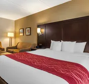 Comfort Inn & Suites near Six Flags hotel detail image 3