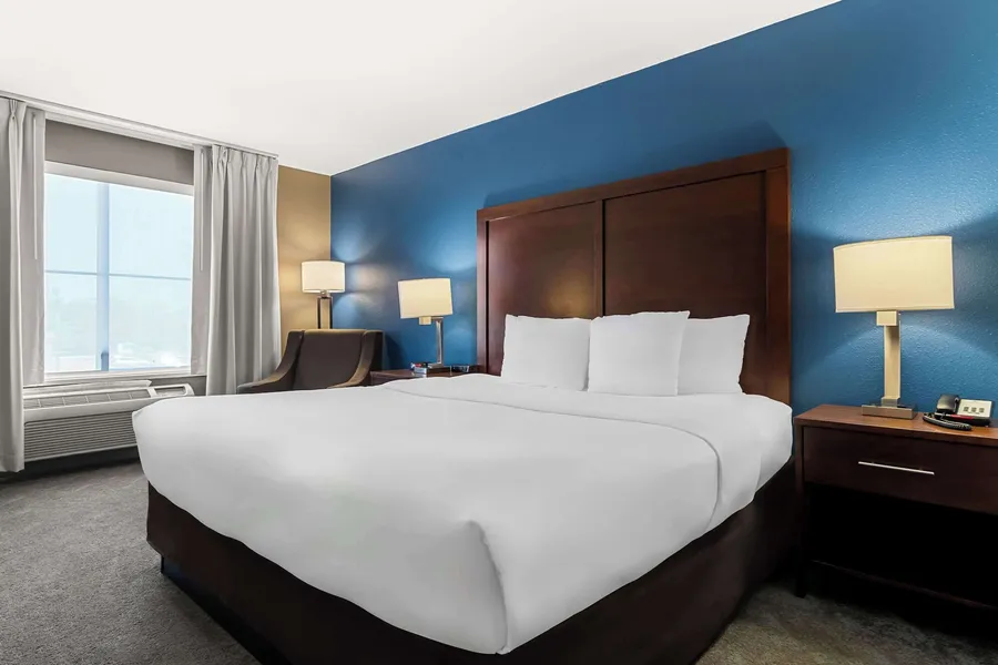 Comfort Inn & Suites near Tinley Park Amphitheater hotel detail image 6