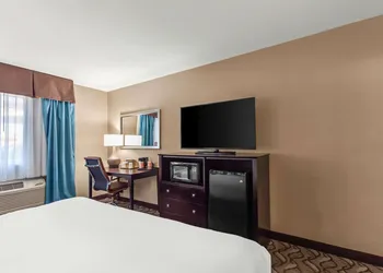 Comfort Inn & Suites Springfield I-55 hotel thumbnail 8