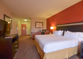 Holiday Inn Express Hotel & Suites Pine Bluff / Pines Mall by IHG hotel thumbnail 8