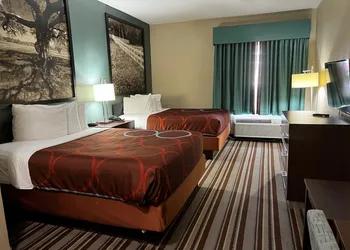 Super 8 by Wyndham Port Arthur/Nederland Area hotel thumbnail 7