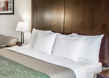 Comfort Inn Federal Way - Seattle hotel thumbnail 6