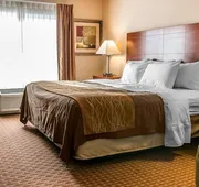 Quality Inn Near Interstate I94 hotel detail image 7