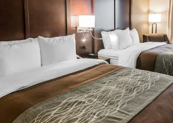 Comfort Inn & Suites Pharr - McAllen hotel thumbnail 5