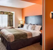 Econo Lodge Inn & Suites Natchitoches hotel detail image 7