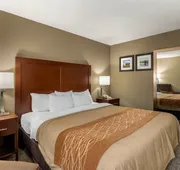 Comfort Inn Walcott near Davenport hotel detail image 4
