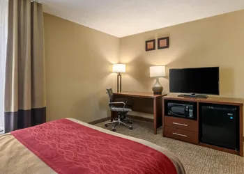 Comfort Inn Walcott near Davenport hotel thumbnail 8