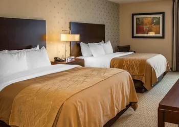 Comfort Inn Bloomington near University hotel thumbnail 8