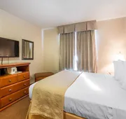 Quality Inn & Suites Lethbridge East hotel detail image 4