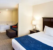 Comfort Suites Lake Geneva East hotel detail image 7