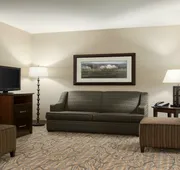 Holiday Inn Hotel & Suites Williamsburg-Historic Gateway by IHG hotel detail image 3