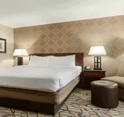 Holiday Inn Hotel & Suites Williamsburg-Historic Gateway by IHG hotel detail image 4