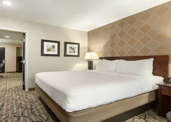 Holiday Inn Hotel & Suites Williamsburg-Historic Gateway by IHG hotel thumbnail 6