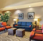 Comfort Suites Glendale - State Farm Stadium Area hotel detail image 3