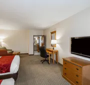 Comfort Suites Glendale - State Farm Stadium Area hotel detail image 4