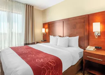 Comfort Suites Glendale - State Farm Stadium Area hotel thumbnail 6