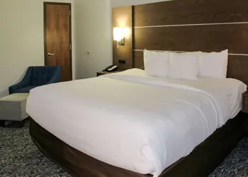 Comfort Inn and Suites Near Lake Guntersville hotel thumbnail 6