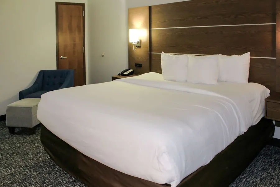 Comfort Inn and Suites Near Lake Guntersville hotel detail image 6