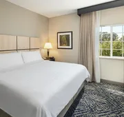 Candlewood Suites I-26 at Northwoods Mall by IHG hotel detail image 5