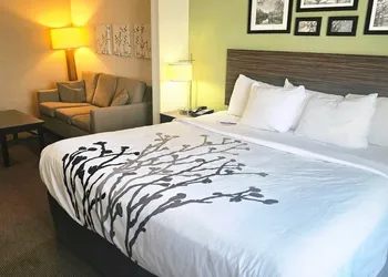 Express Inn & Suites hotel thumbnail 6