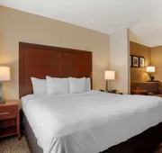 Comfort Suites Foley hotel detail image 5